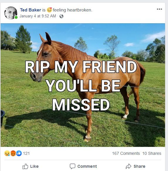 romeo fb post.jpg